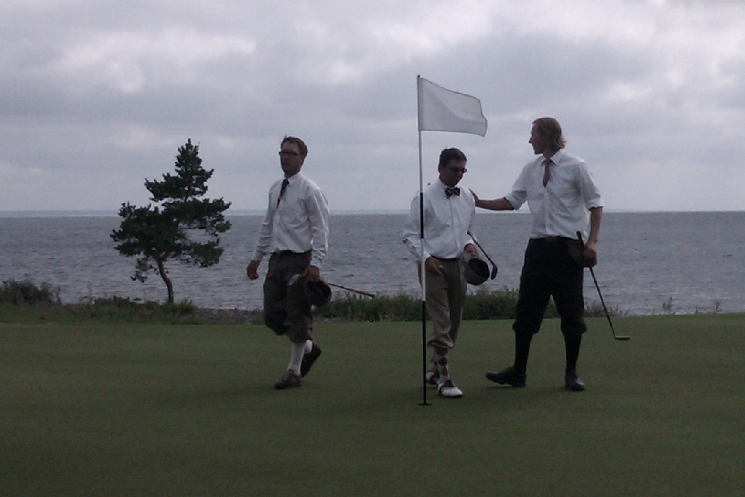 Svenska Hickorymästerskapen 2011